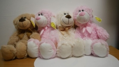 Maskotki od Radnych Rady Miasta Lublin