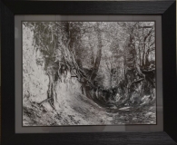 "Wąwóz korzeniowy w Kazimierzu Dolnym" - fotografia autorstwa Cezarego Kowalczuka, członka Lubelskiego Towarzystwa Fotograficznego, Fotoklubu RP Oddział Radom. Artysta fotografik FIAP (Międzynarodowa Federacja Sztuki Fotograficznej).