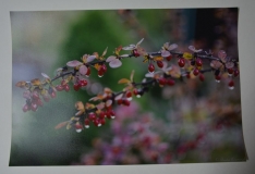 Fotografia od Beaty Adamczyk (Lubelskie Towarzystwo Fotograficzne)