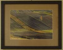 Fotografia "Roztocze" . Dar od Pana Witolda Nowakowskiego z Lubelskiego Towarzystwa Fotograficznego.