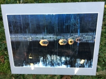 Obraz (fotografia) "Słoneczny Poranek" autorstwa Pana Waldemara Nowińskiego z Lubelskiego Towarzystwa Fotograficznego.