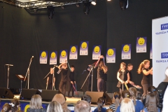PDPZ_2016 (210)