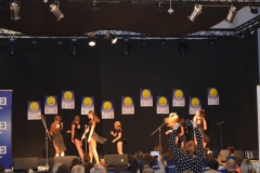 PDPZ_2016 (302)