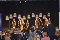 PDPZ_2016 (304)