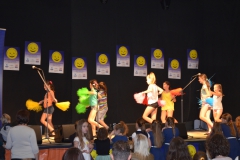 PDPZ_2016 (308)